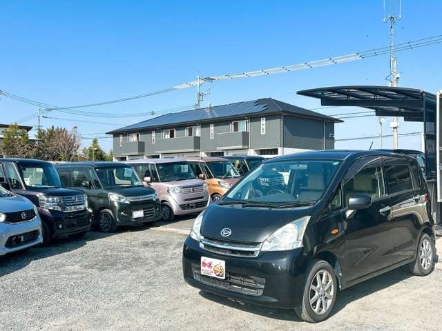 �y39.8���X�J�[�Y�̎��q���������������A���ɂ��肪�Ƃ��������܂��B���������S�s���c1186-7TEL:0942-73-6060�܂ł��⍇����������