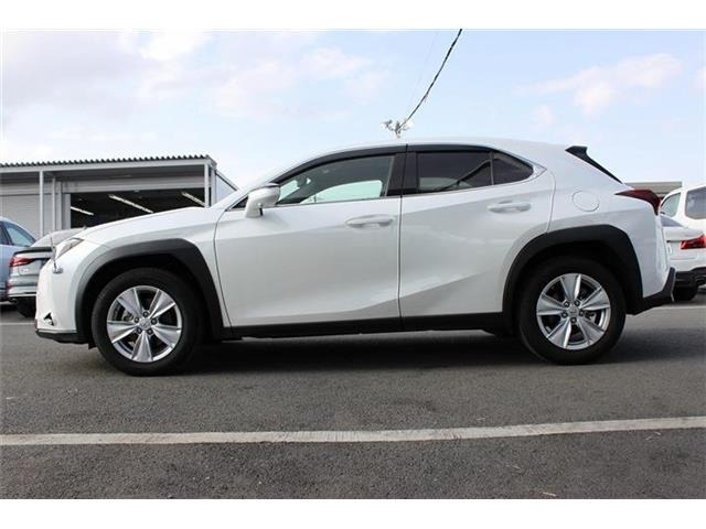 ���Ǝҗl�ւ̔̔��͂��f�肳���Ă��������܂��B �Ԍ������ԗ��̏ꍇ�́A�Ԍ����擾�������x�������z�ŕ\�����Ă���܂��B