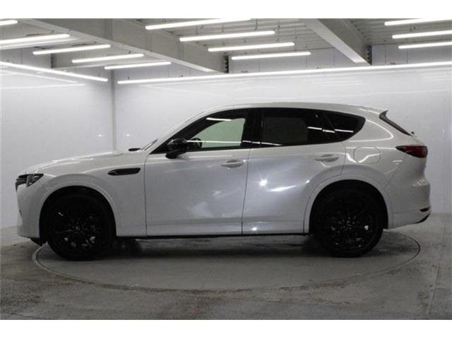 ���Ǝҗl�ւ̔̔��͂��f�肳���Ă��������܂��B �Ԍ������ԗ��̏ꍇ�́A�Ԍ����擾�������x�������z�ŕ\�����Ă���܂��B