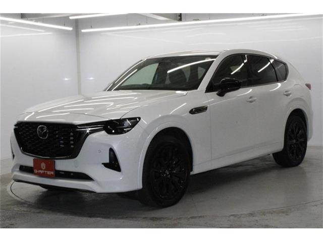 ���Ǝҗl�ւ̔̔��͂��f�肳���Ă��������܂��B �Ԍ������ԗ��̏ꍇ�́A�Ԍ����擾�������x�������z�ŕ\�����Ă���܂��B