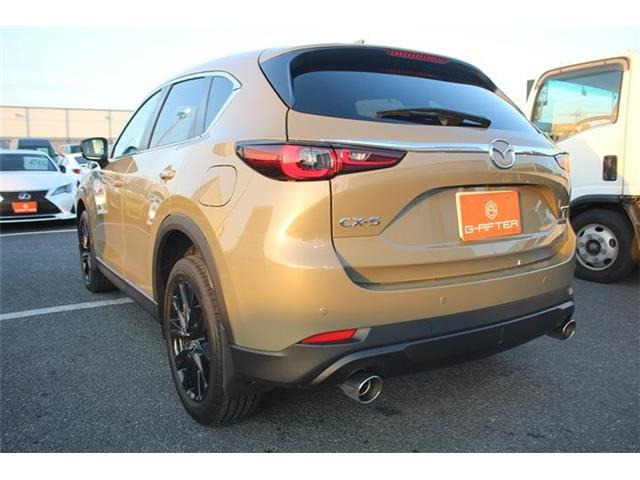 ���Ǝҗl�ւ̔̔��͂��f�肳���Ă��������܂��B �Ԍ������ԗ��̏ꍇ�́A�Ԍ����擾�������x�������z�ŕ\�����Ă���܂��B