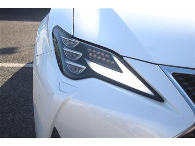 ���Ǝҗl�ւ̔̔��͂��f�肳���Ă��������܂��B �Ԍ������ԗ��̏ꍇ�́A�Ԍ����擾�������x�������z�ŕ\�����Ă���܂��B