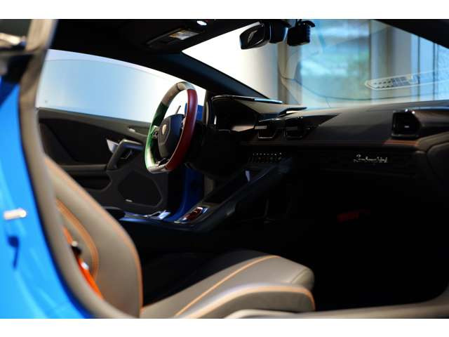 �����I�t���U�[�X�e�A�����O