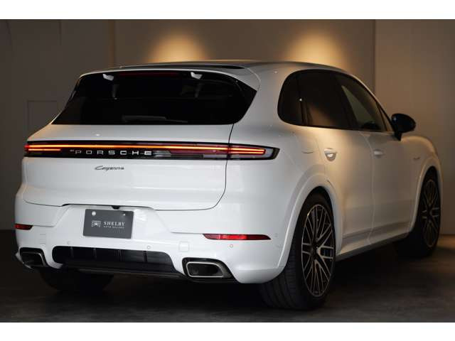 PASM�t���A�_�v�e�B�u�G�A�T�X�y���V����(339,000)