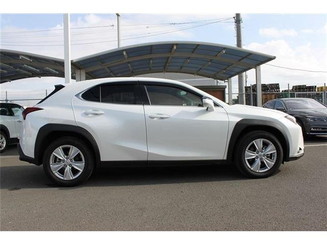 ���Ǝҗl�ւ̔̔��͂��f�肳���Ă��������܂��B �Ԍ������ԗ��̏ꍇ�́A�Ԍ����擾�������x�������z�ŕ\�����Ă���܂��B