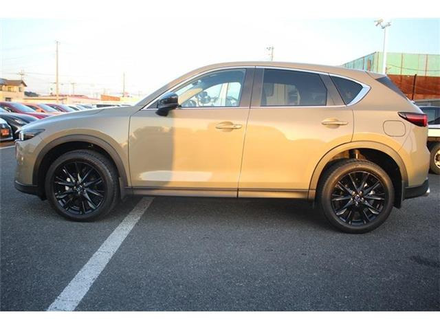 ���Ǝҗl�ւ̔̔��͂��f�肳���Ă��������܂��B �Ԍ������ԗ��̏ꍇ�́A�Ԍ����擾�������x�������z�ŕ\�����Ă���܂��B