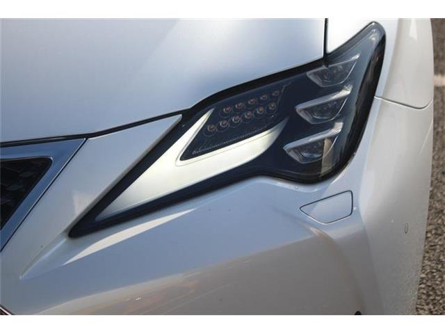 ���Ǝҗl�ւ̔̔��͂��f�肳���Ă��������܂��B �Ԍ������ԗ��̏ꍇ�́A�Ԍ����擾�������x�������z�ŕ\�����Ă���܂��B