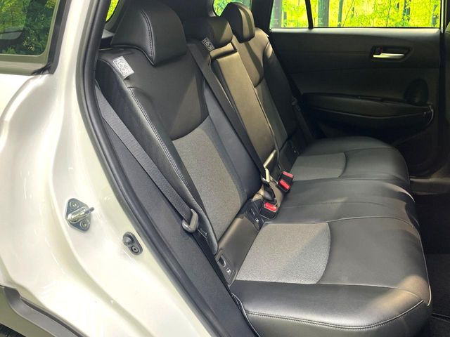 �㕔���Ȃ��C�ɂȂ�悤�ȃL�Y�E�����ւ��蓙�A�傫�ȃ_���[�W�͂Ȃ��A�ǍD�ȏ�Ԃł��B