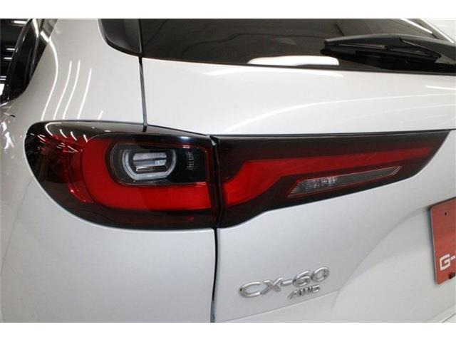 ���Ǝҗl�ւ̔̔��͂��f�肳���Ă��������܂��B �Ԍ������ԗ��̏ꍇ�́A�Ԍ����擾�������x�������z�ŕ\�����Ă���܂��B