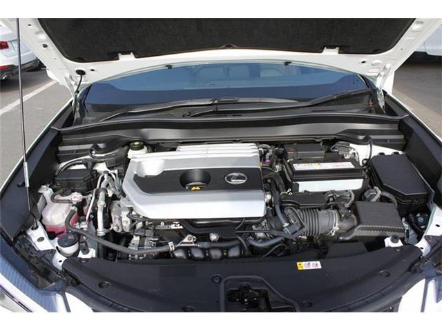 ���Ǝҗl�ւ̔̔��͂��f�肳���Ă��������܂��B �Ԍ������ԗ��̏ꍇ�́A�Ԍ����擾�������x�������z�ŕ\�����Ă���܂��B