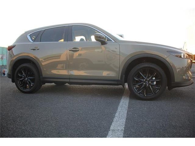 ���Ǝҗl�ւ̔̔��͂��f�肳���Ă��������܂��B �Ԍ������ԗ��̏ꍇ�́A�Ԍ����擾�������x�������z�ŕ\�����Ă���܂��B