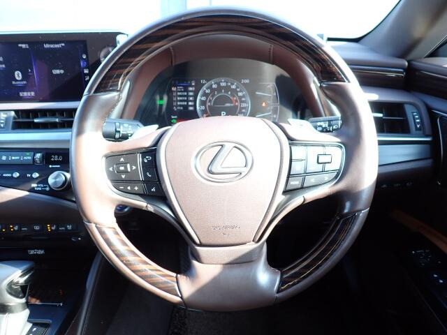 �X�e�A�����O�͂ƂĂ����ꂢ�ȏ�Ԃł���