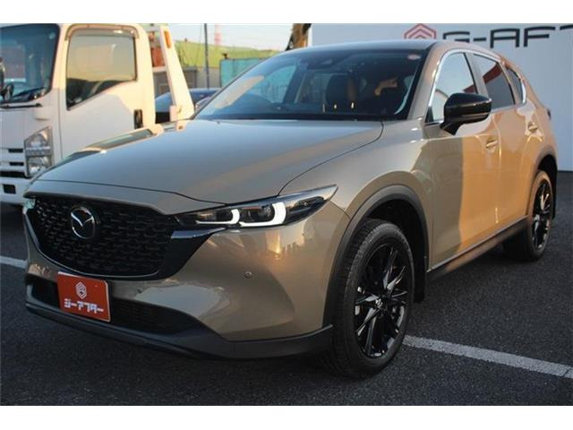 ���Ǝҗl�ւ̔̔��͂��f�肳���Ă��������܂��B �Ԍ������ԗ��̏ꍇ�́A�Ԍ����擾�������x�������z�ŕ\�����Ă���܂��B