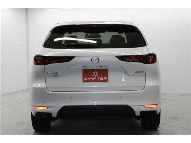 ���Ǝҗl�ւ̔̔��͂��f�肳���Ă��������܂��B �Ԍ������ԗ��̏ꍇ�́A�Ԍ����擾�������x�������z�ŕ\�����Ă���܂��B