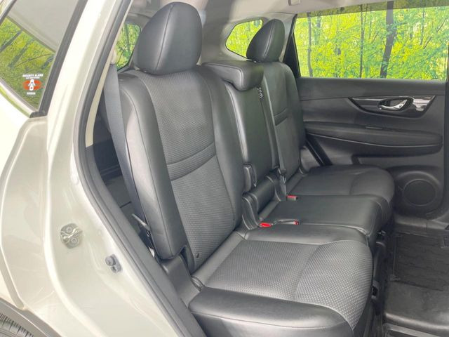 �㕔���Ȃ��C�ɂȂ�悤�ȃL�Y�E�����ւ��蓙�A�傫�ȃ_���[�W�͂Ȃ��A�ǍD�ȏ�Ԃł��B