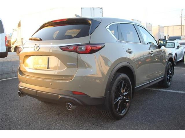 ���Ǝҗl�ւ̔̔��͂��f�肳���Ă��������܂��B �Ԍ������ԗ��̏ꍇ�́A�Ԍ����擾�������x�������z�ŕ\�����Ă���܂��B