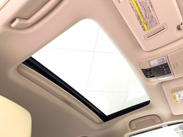 �y�T�����[�t�z�J���������Ղ�̊󏭑����A�T�����[�t����������Ă��܂�!�ԓ��ɖ�����������ꂽ��i�F���y���ވȊO�ɂ��A�ԓ��̋�C���ȒP�Ɋ��C�ł��ĉ��K�ł�!