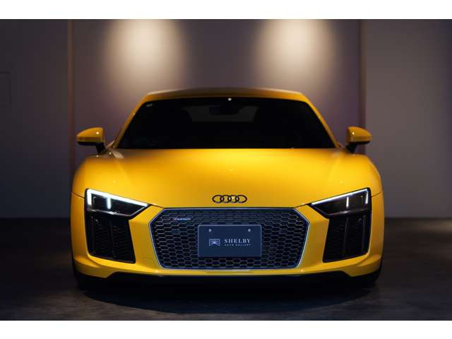 �{�f�B�J���[:�x�K�X�C�G���[