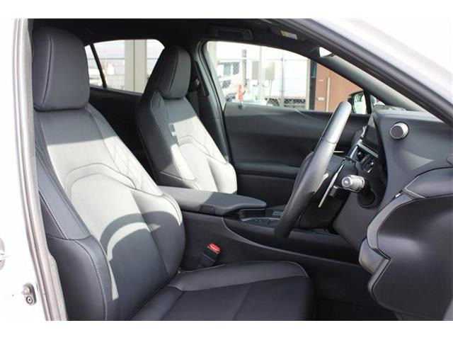 ���Ǝҗl�ւ̔̔��͂��f�肳���Ă��������܂��B �Ԍ������ԗ��̏ꍇ�́A�Ԍ����擾�������x�������z�ŕ\�����Ă���܂��B