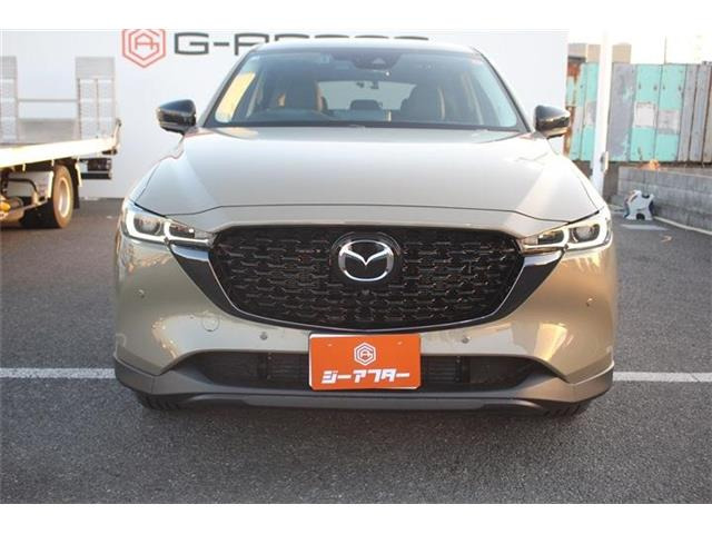 ���Ǝҗl�ւ̔̔��͂��f�肳���Ă��������܂��B �Ԍ������ԗ��̏ꍇ�́A�Ԍ����擾�������x�������z�ŕ\�����Ă���܂��B