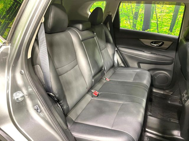 �㕔���Ȃ��C�ɂȂ�悤�ȃL�Y�E�����ւ��蓙�A�傫�ȃ_���[�W�͂Ȃ��A�ǍD�ȏ�Ԃł��B