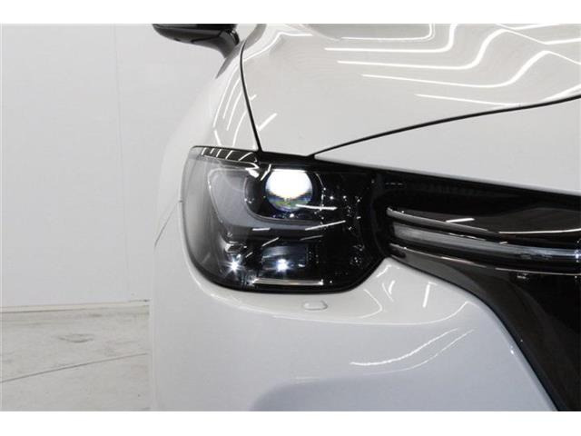 ���Ǝҗl�ւ̔̔��͂��f�肳���Ă��������܂��B �Ԍ������ԗ��̏ꍇ�́A�Ԍ����擾�������x�������z�ŕ\�����Ă���܂��B