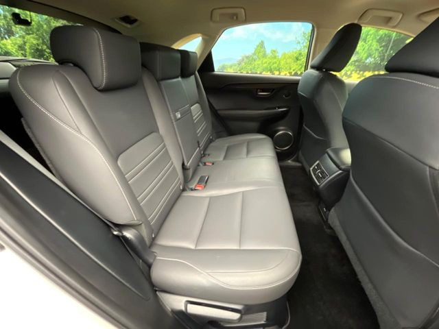 �㕔���Ȃ��C�ɂȂ�悤�ȃL�Y�E�����ւ��蓙�A�傫�ȃ_���[�W�͂Ȃ��A�ǍD�ȏ�Ԃł��B