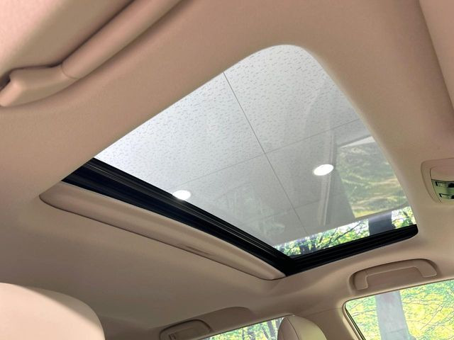 �y�T�����[�t�z�J���������Ղ�̊󏭑����A�T�����[�t����������Ă��܂�!�ԓ��ɖ�����������ꂽ��i�F���y���ވȊO�ɂ��A�ԓ��̋�C���ȒP�Ɋ��C�ł��ĉ��K�ł�!