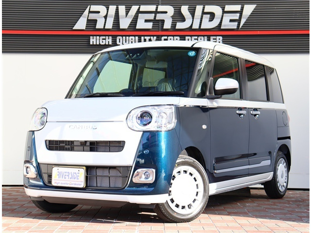 ムーヴキャンバスストライプス G