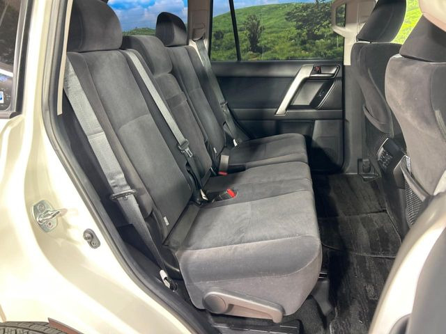 �㕔���Ȃ��C�ɂȂ�悤�ȃL�Y�E�����ւ��蓙�A�傫�ȃ_���[�W�͂Ȃ��A�ǍD�ȏ�Ԃł��B