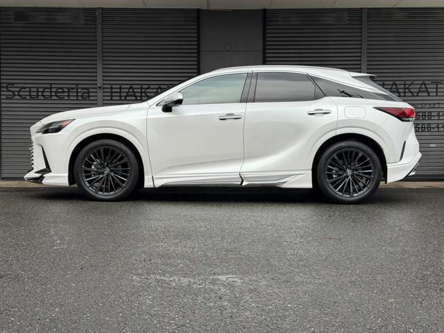 �O��R�[�i�[�Z���T�[�E�t�����g�E�T�C�h�E���A�J�����E�p�m���}�~�b�N�r���[�J�����B