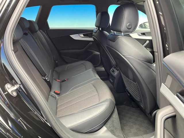 ���㕔���Ȃ��C�ɂȂ�悤�ȃL�Y�E�����ւ��蓙�A�傫�ȃ_���[�W�͂Ȃ��A�ǍD�ȏ�Ԃł��B