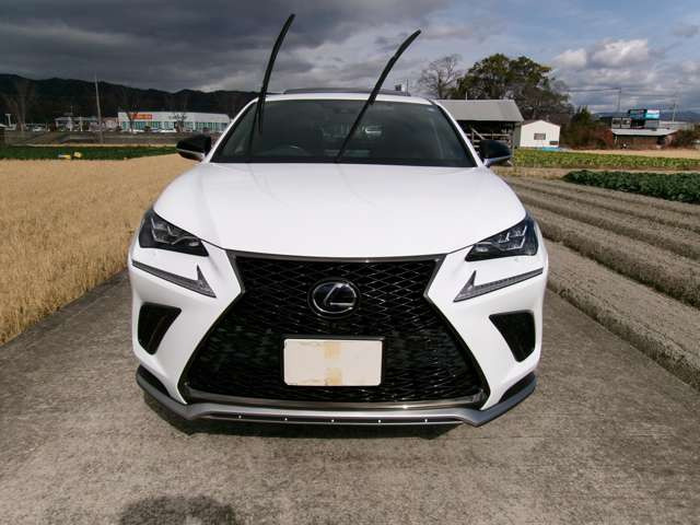 NX300h Fスポーツ