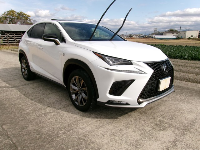 NX300h Fスポーツ