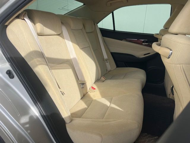 �㕔���Ȃ��C�ɂȂ�悤�ȃL�Y�E�����ւ��蓙�A�傫�ȃ_���[�W�͂Ȃ��A�ǍD�ȏ�Ԃł��B