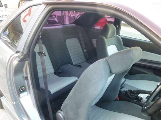 �����ċM���̃x�X�g���[���ł��B