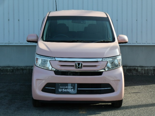 N-WGNG Lパッケージ