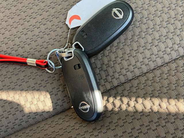 ���L�[�t���[�V�X�e���������R���L�[���g�т��Ă���΃L�[���|�P�b�g�Ȃǂ���o���Ȃ��Ă��h�A�̎{���E��������уG���W���n�����o���܂�!