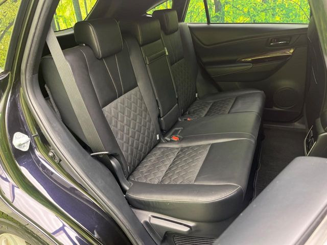 �㕔���Ȃ��C�ɂȂ�悤�ȃL�Y�E�����ւ��蓙�A�傫�ȃ_���[�W�͂Ȃ��A�ǍD�ȏ�Ԃł��B