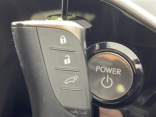 NX450hプラス Fスポーツ 4WD