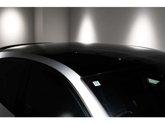 �I�v�V����:�p�m���}���[�t