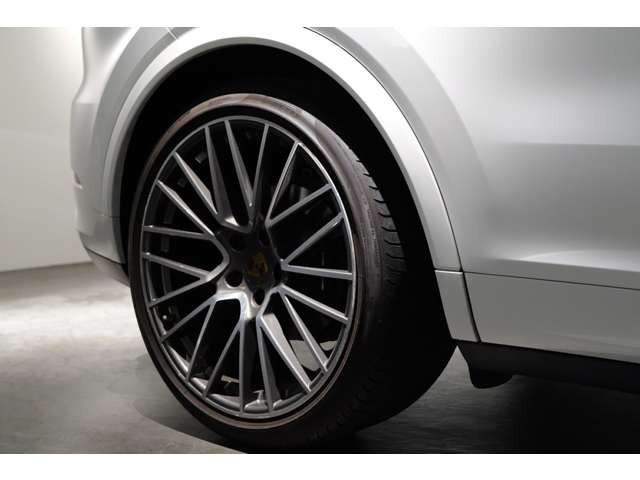 �I�v�V����:22in RS�X�p�C�_�[�z�C�[��