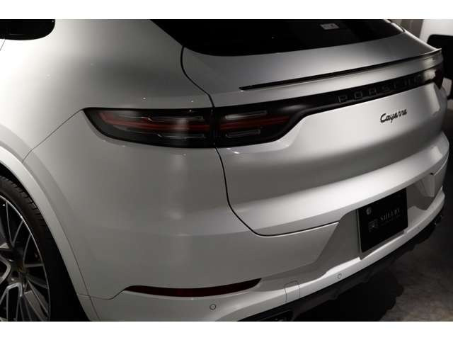 �I�v�V����:PASM�t�A�_�v�e�B�u�G�A�T�X�y���V����