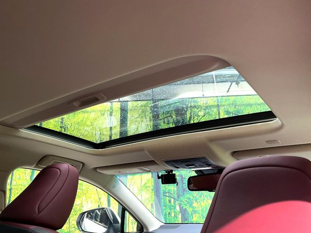 �y�T�����[�t�z�J���������Ղ�̊󏭑����A�T�����[�t����������Ă��܂�!�ԓ��ɖ�����������ꂽ��i�F���y���ވȊO�ɂ��A�ԓ��̋�C���ȒP�Ɋ��C�ł��ĉ��K�ł�!