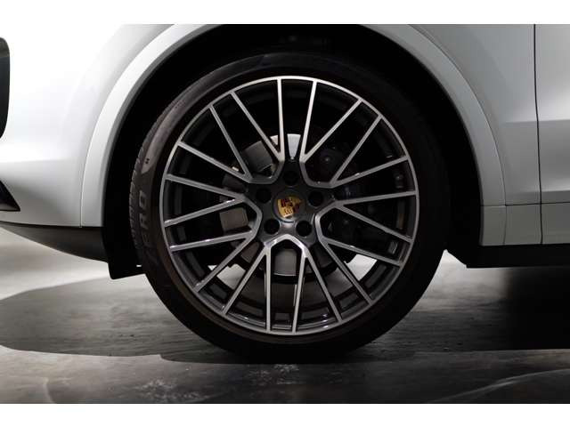 �I�v�V����:22in RS�X�p�C�_�[�z�C�[��