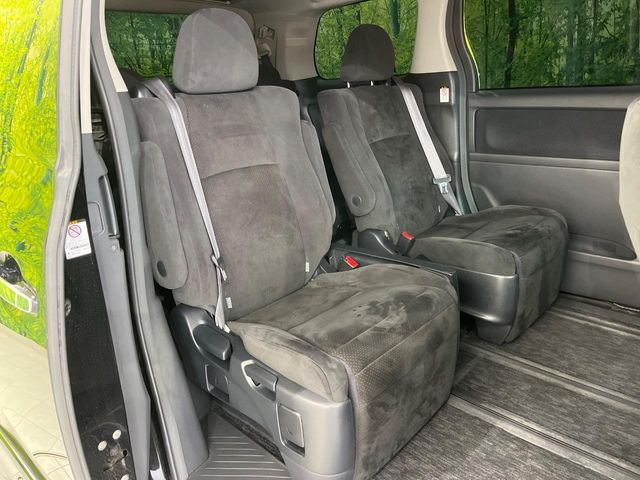 �㕔���Ȃ��C�ɂȂ�悤�ȃL�Y�E�����ւ��蓙�A�傫�ȃ_���[�W�͂Ȃ��A�ǍD�ȏ�Ԃł��B