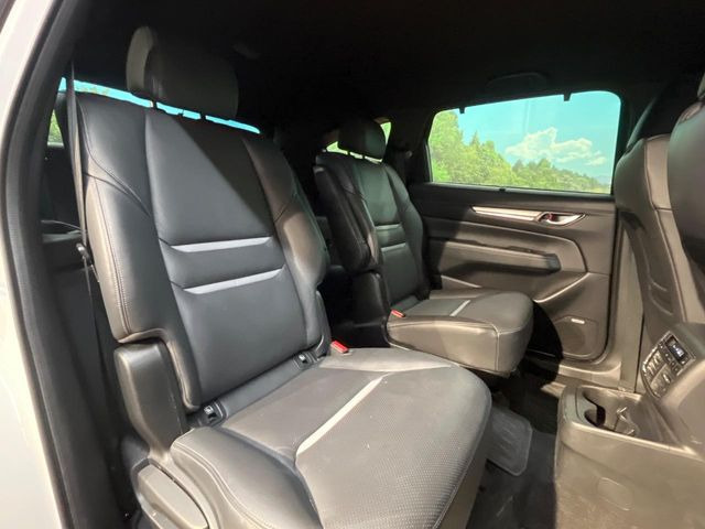 �㕔���Ȃ��C�ɂȂ�悤�ȃL�Y�E�����ւ��蓙�A�傫�ȃ_���[�W�͂Ȃ��A�ǍD�ȏ�Ԃł��B