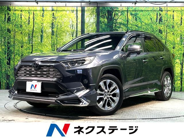 RAV4(トヨタ) 2.0 G Zパッケージ 4WD 中古車画像