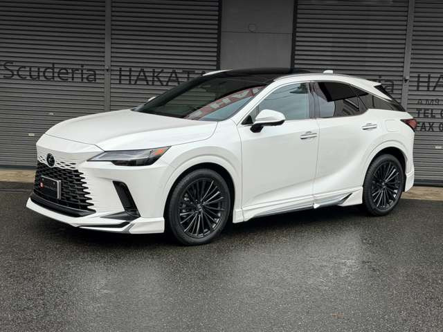 ���f���X�^�G�A��((�t�����g�X�|�C���[�E�T�C�h�X�J�[�g&���A�X�J�[�g)�E�K���X�T�����[�t(�d���`���g&�X���C�f�B���O)