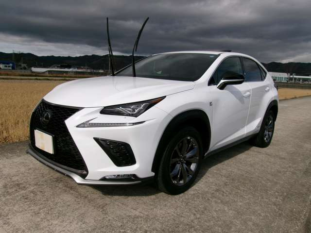 NX300h Fスポーツ